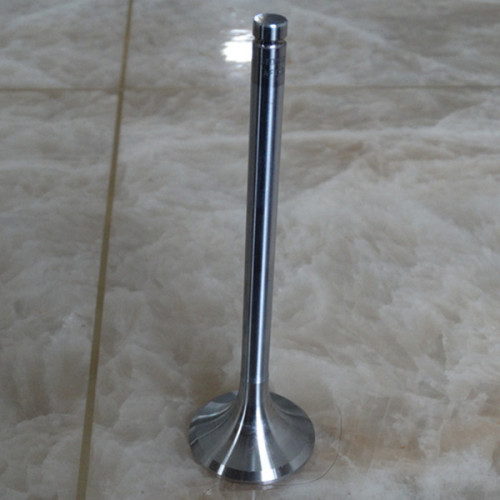 Car Diesel Spare Inlet Engine Valve for DEUTZ