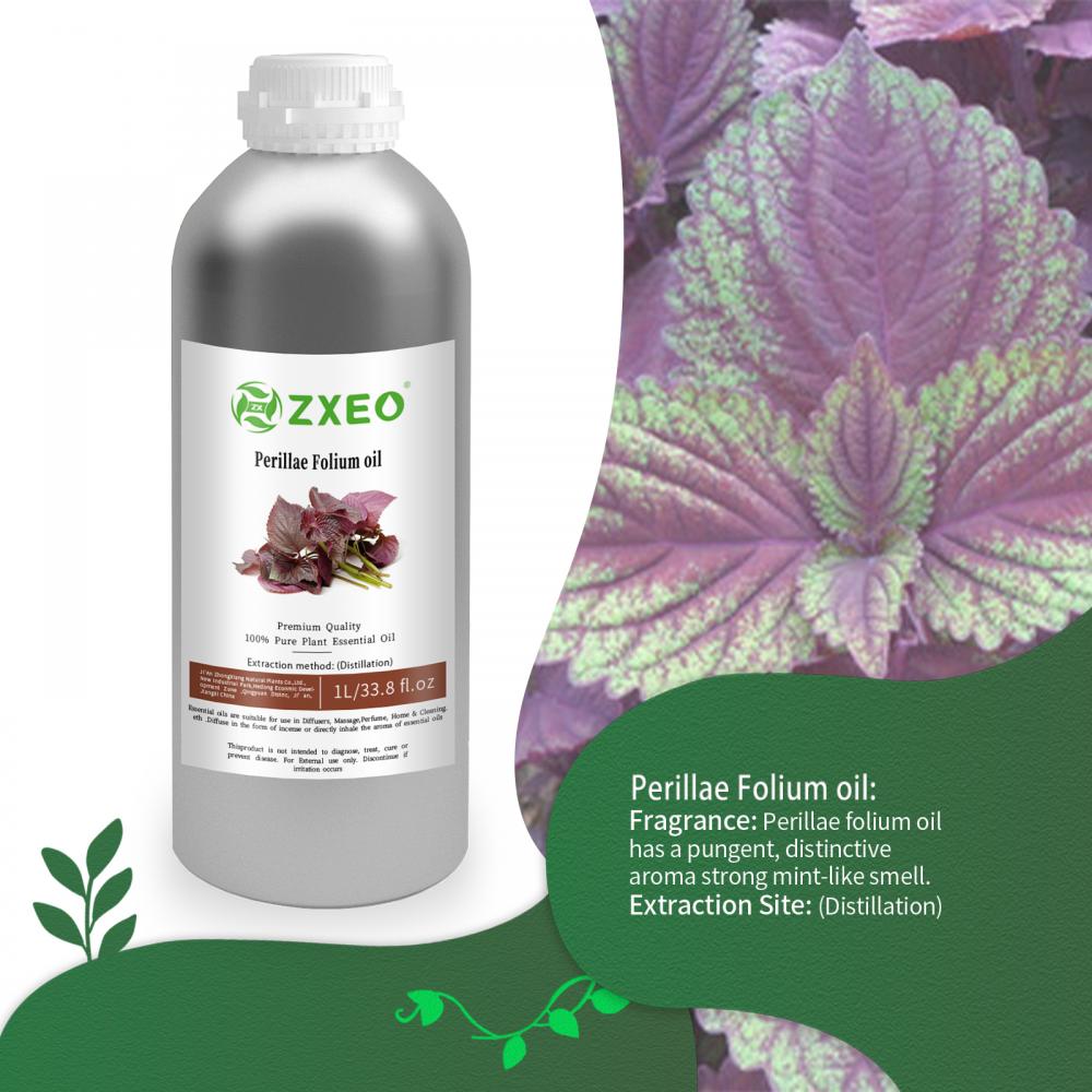 Natural Food Grade Edible Red Perilla Leaf Huile pour la peau avec le meilleur prix