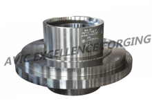 large size petrochemical equipment forging