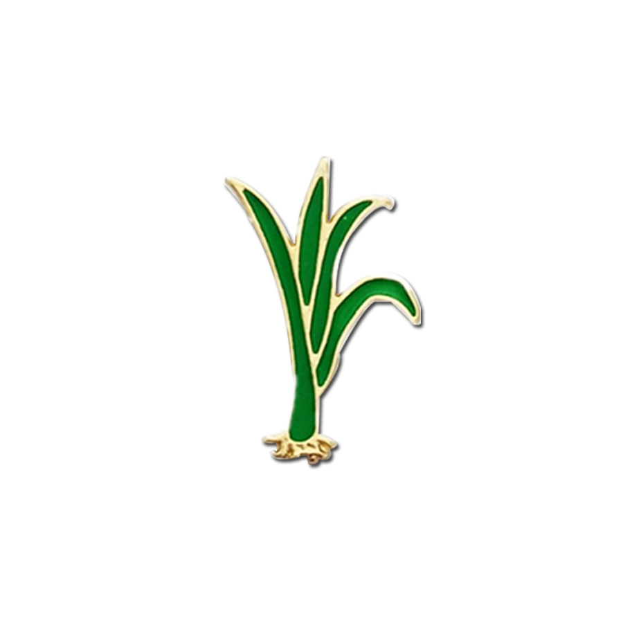 design vegetable pin