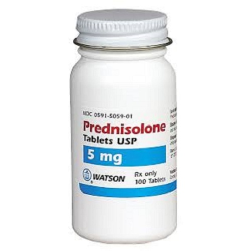 prednisolona vs prednisona para perros