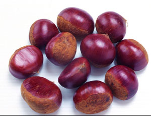 2014 New Crop Fresh Chestnut