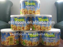 Roasted and Salted Peanuts (dry blanched)