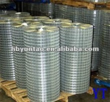 GI Welded Wire Mesh factory
