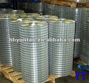 GI Welded Wire Mesh factory