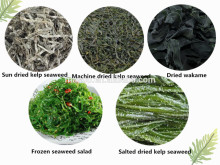 2015 Sun dried or machine dried kelp cut dried chuka wakame seaweed