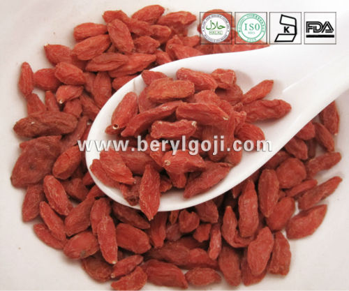 Red Goji Berries