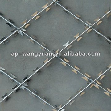 Galvanized Blade Wire