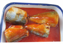 155g 425g OEM Canned Sardine