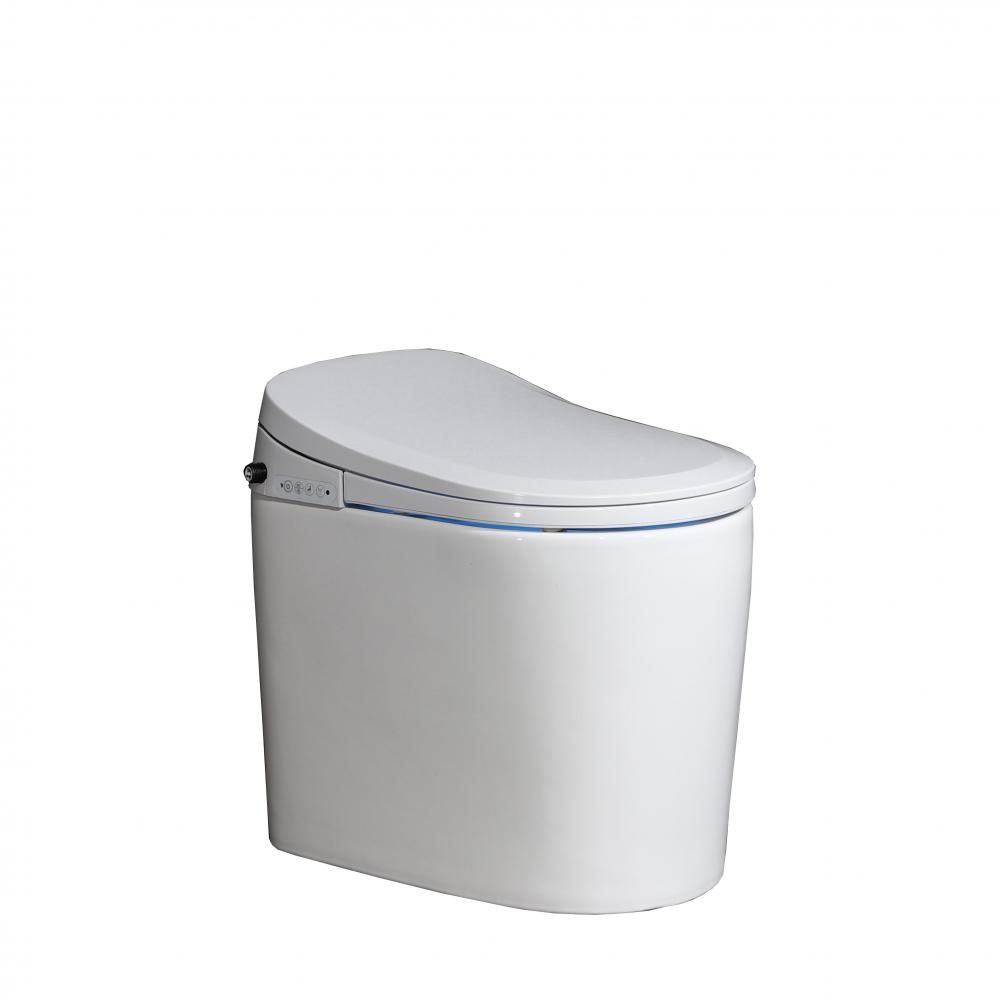 6102 Smart Toilet