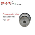 VW truck Fuel rail pressure relief valve 2Z0201146A