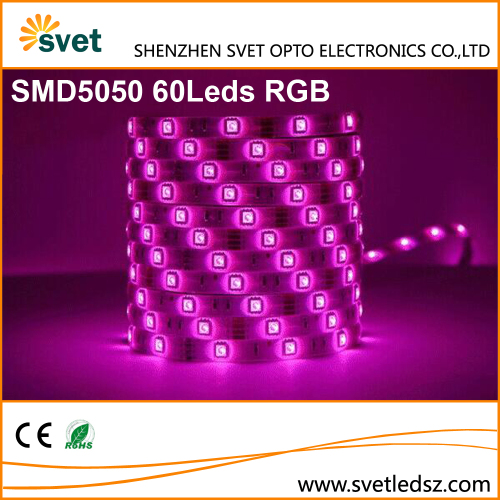 Wide Angle 5050 RGB Led 5M 300 Leds DC12V 24V 5M / Roll