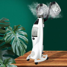 SYNTETH Beauty Salon Standing Micro Mist Hair Steamer Machine