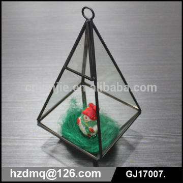 open geometric shaped glass succulent box