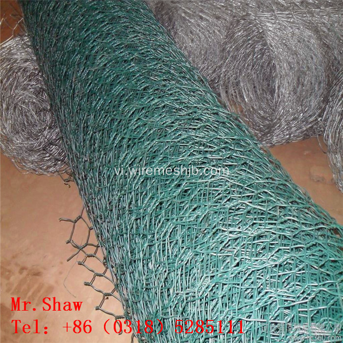 PVC Coted Gà chăn nuôi hình lục giác dây lưới