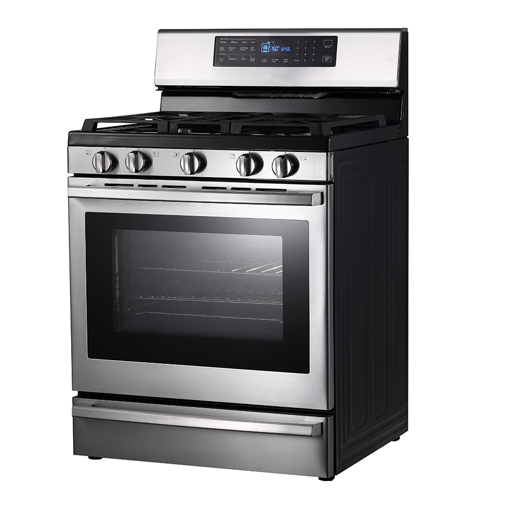 Electric Gas Oven