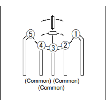 Bidirectional perception Detection switch