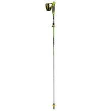 Custom Nordic Walking Sticks with Rubber Form Flip Lock Canes: New Design
