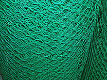 hexagonal wire mesh