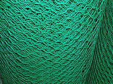 hexagonal wire mesh