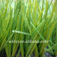 Soccer artificial turf
