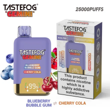 Tastefog Gemini 25000 Puffs original