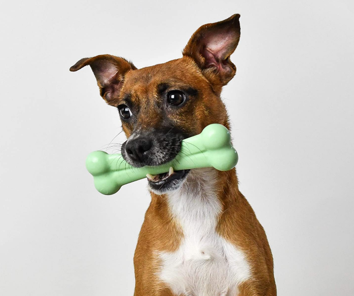 Jouets pour animaux de compagnie Pet Bones Toys