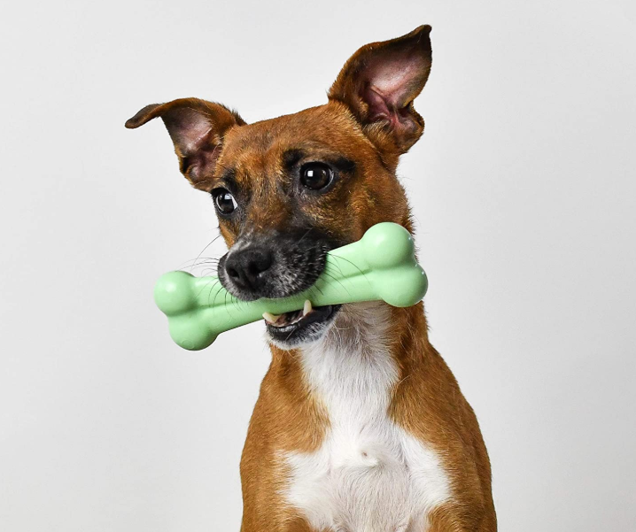 Pet Bones Toys