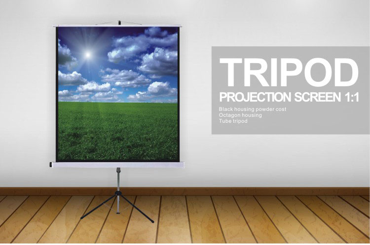 79 inches matte white movie theater tripod projection screen, foldable projector screen