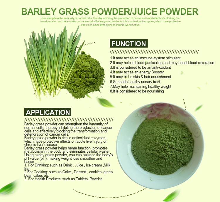 Organic Oat Grass Juice Powder Organic Wheat Grass Powder Organic Oat Grass Powder