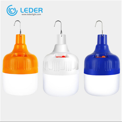 LEDER 70W buitenlamp