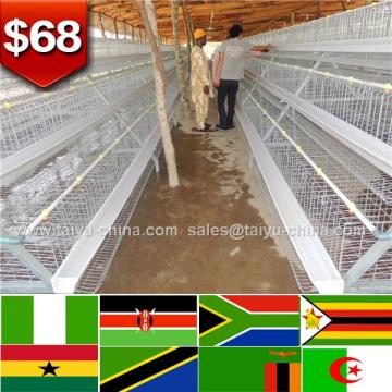 Contact us for African agents connection cheaper chicken cages for layers