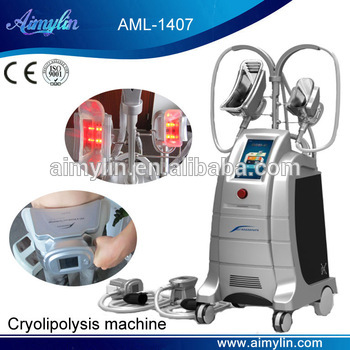 cryolipolysis salon use beauty apparatus