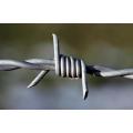 concertina/hot dipped galvanized barbed wire