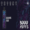 Energia 5000 Vape descartável a 5% no atacado