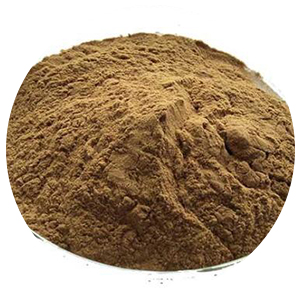 100% Natural Healthy Organic Green Tea Extract Natural L Theanine Powder