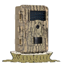 PIR Motion Sensing Wildlife Photography Camera?