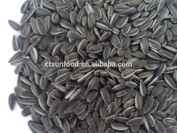 small and black sunflower seeds sunflower seeds for oil