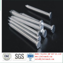 round head with smooth shank concrete nails(cement nails)