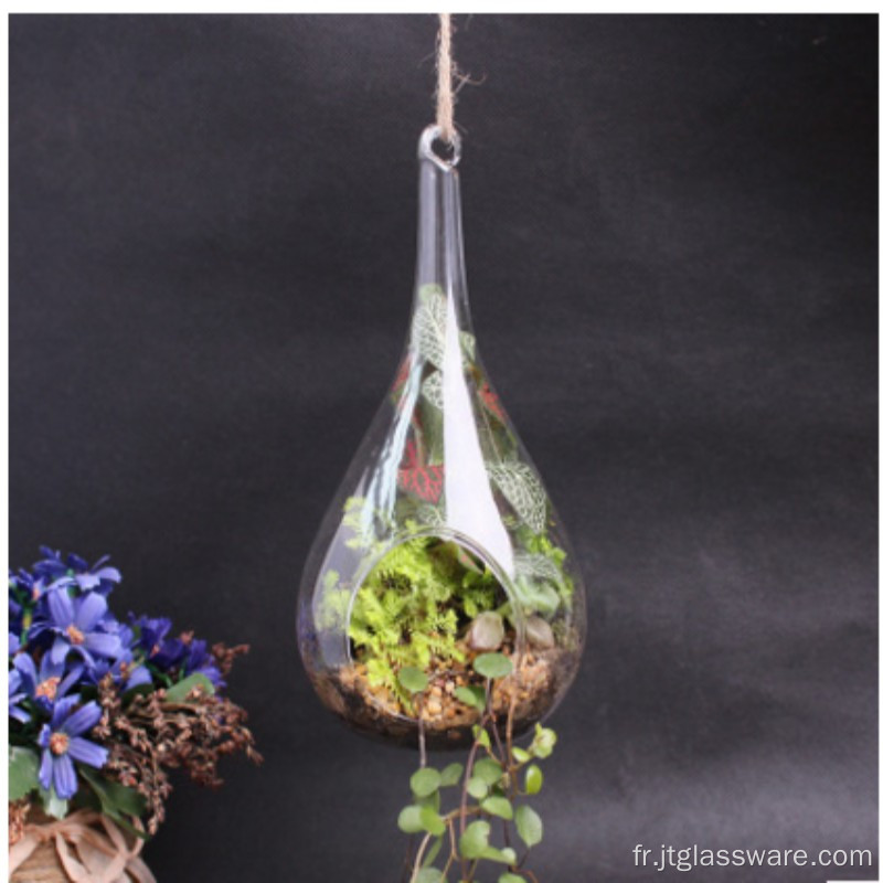 Terrarium en verre avec cadre en métal