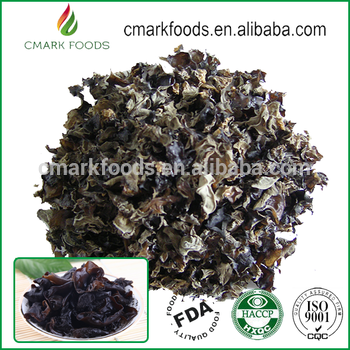 Spring Thin Dehydrated Black Edible fungus