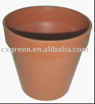 biodegradable pot