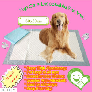 Pelatihan Puppy Pad Kualitas Tinggi