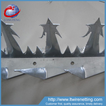 Professional manufacturer supply china wall spikes,high quality wall spike