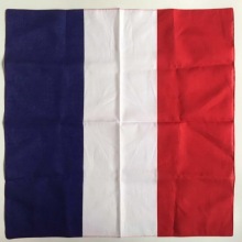 Promotional Imprinted Cotton Bandanas