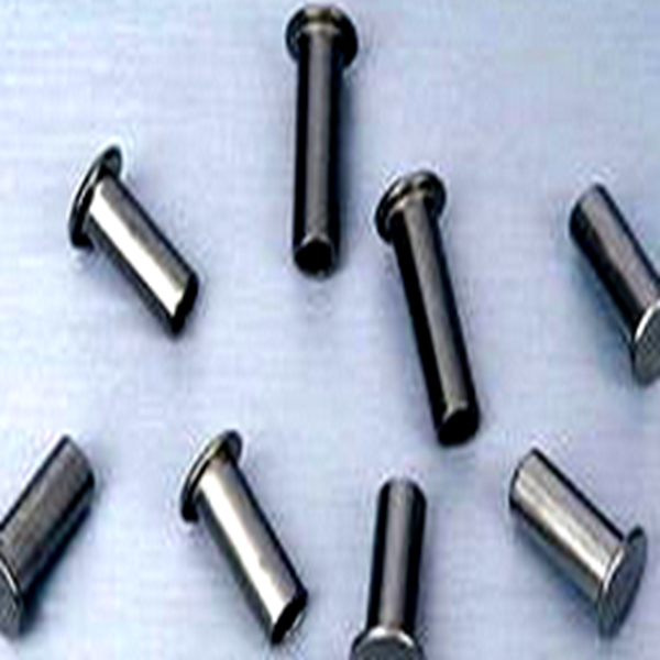 Hight Quality Semi tubular rivet parts