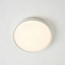 Smooth acrylic LED ceiling fixture