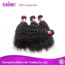 Overseas Curly Indian Virgin Hair Wig