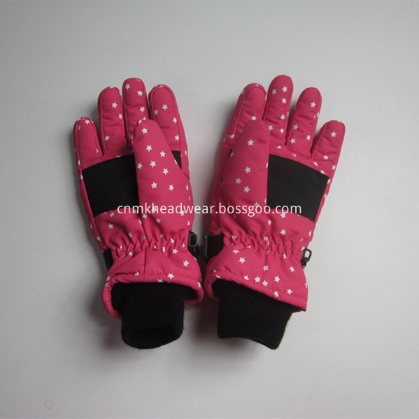 Ski Gloves