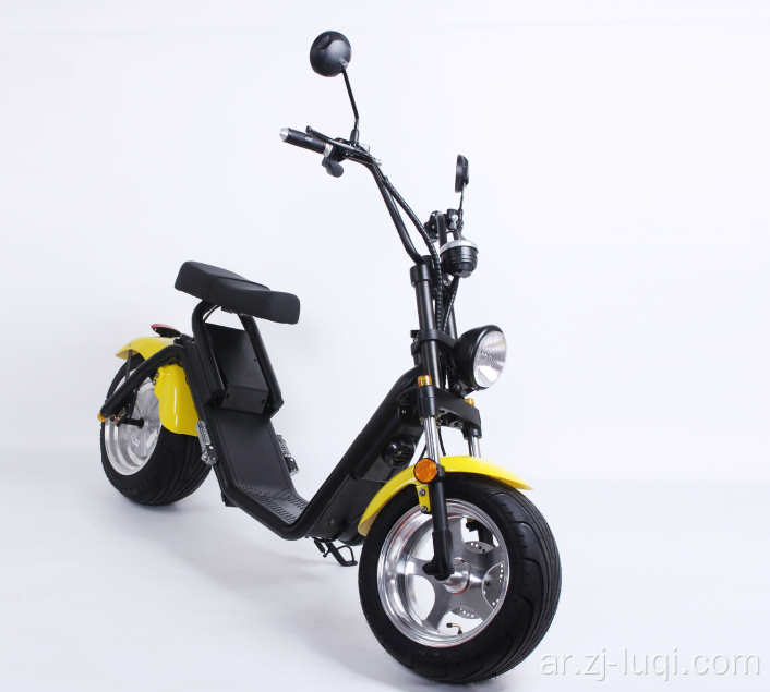 City COC Scooter EEC Version Harley Citycoco 60V